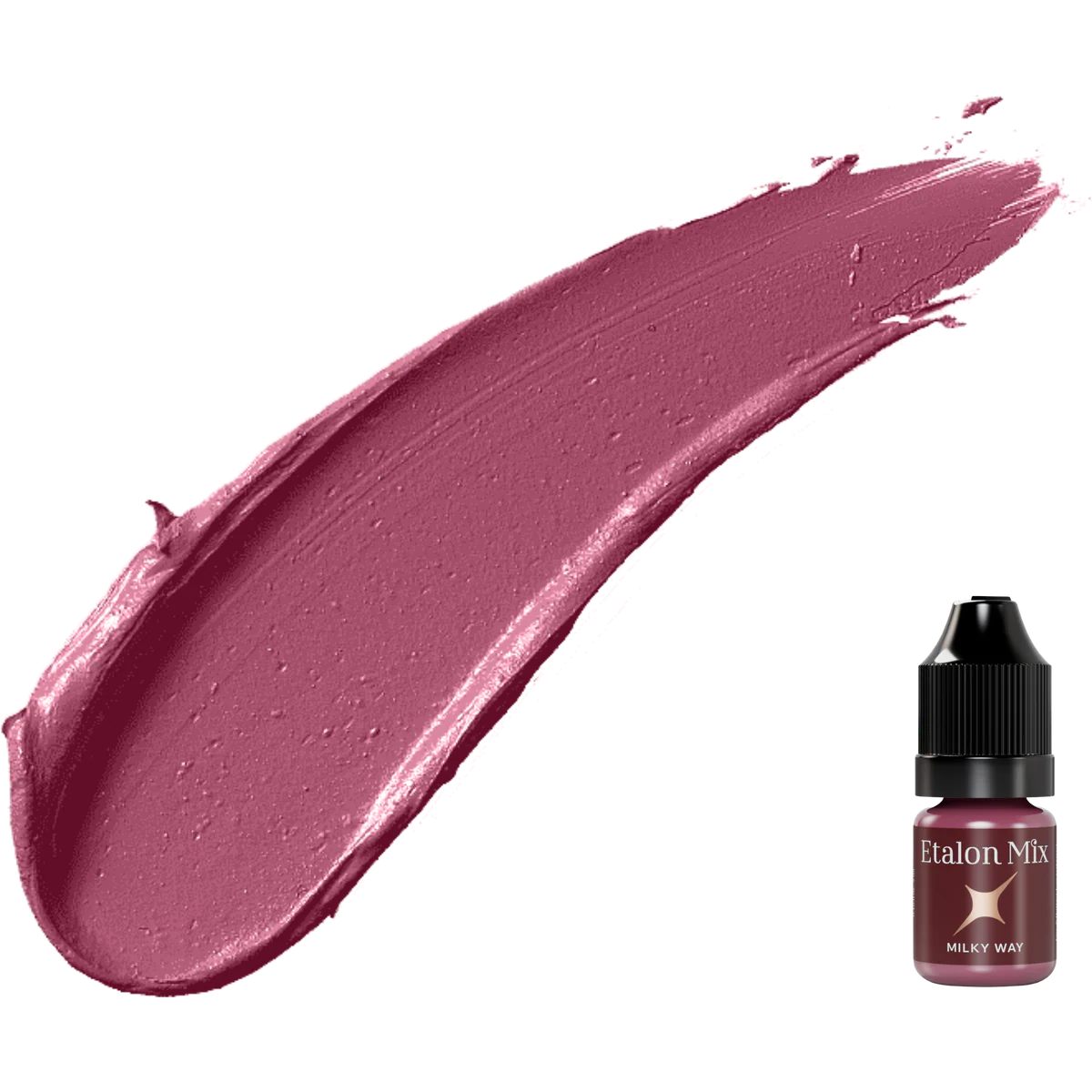 NEW Etalon Mix Favor Lip Pigments Set 5ml