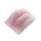Nude Lips Best Practice Silicone Skin For Permanent Makeup Artists