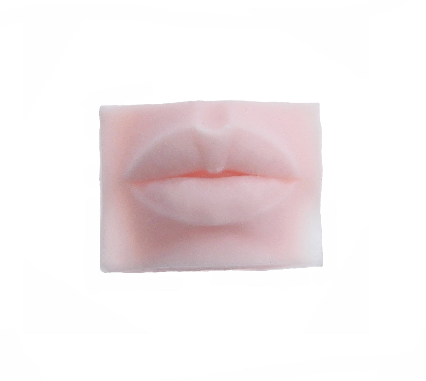 Nude Lips Best Practice Silicone Skin For Permanent Makeup Artists